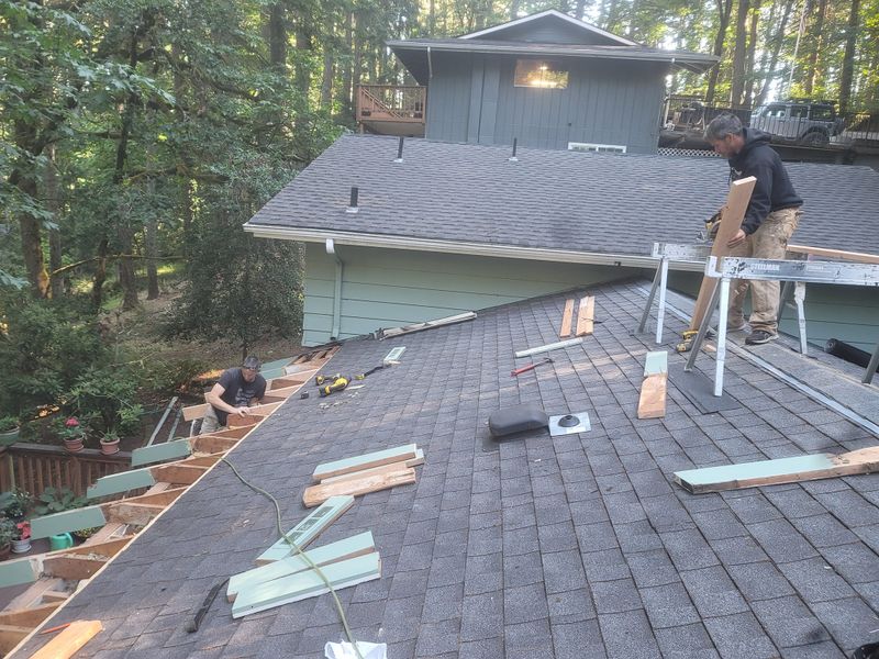Roofing Repairs