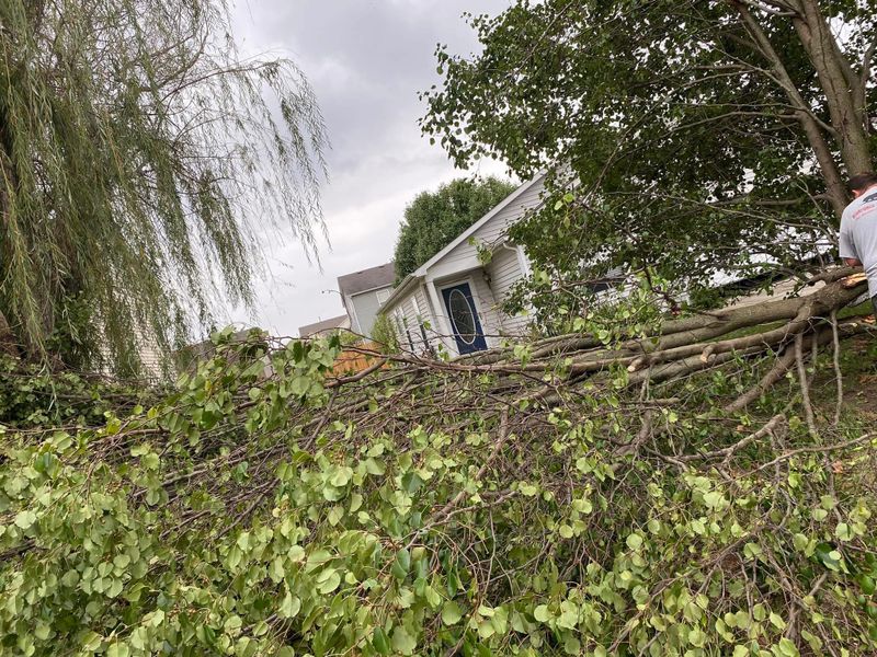 Storm Cleanup