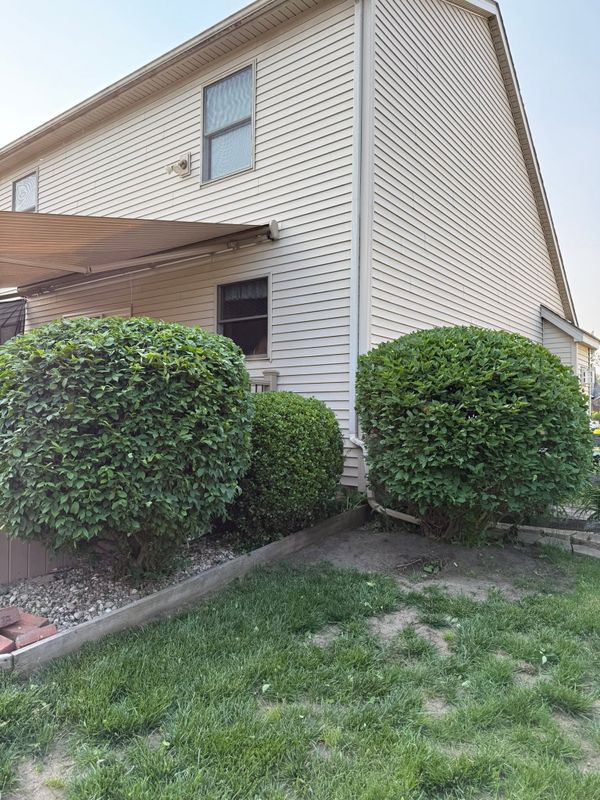 Tree & Shrub Care