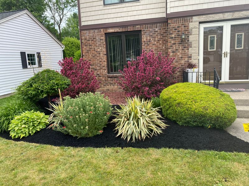 Hardscape Installation