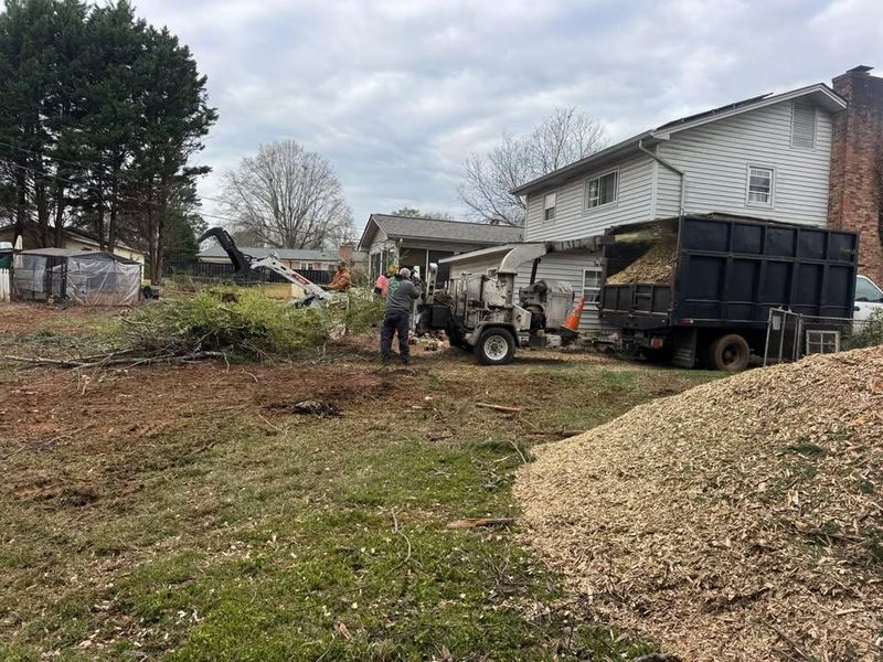Stump Removal