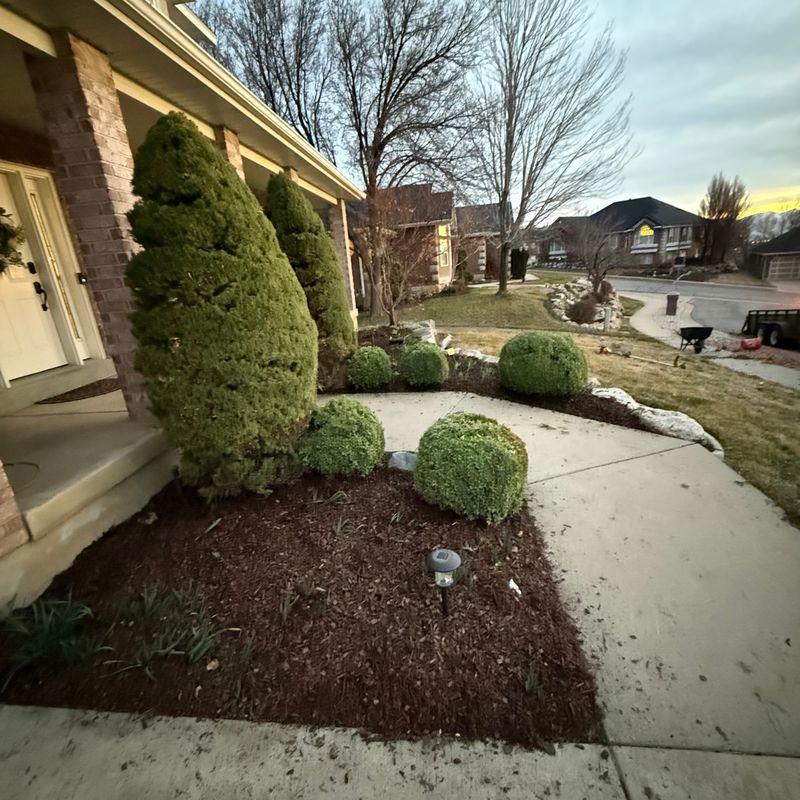 Shrub Trimming