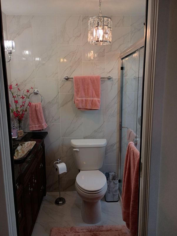 Shower/bathroom remodel