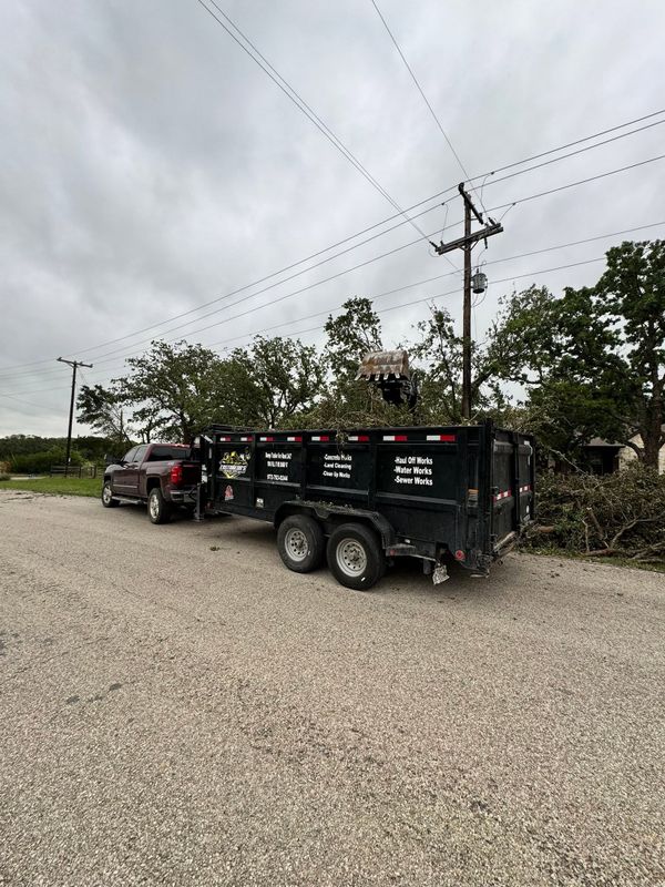 Tree Removal