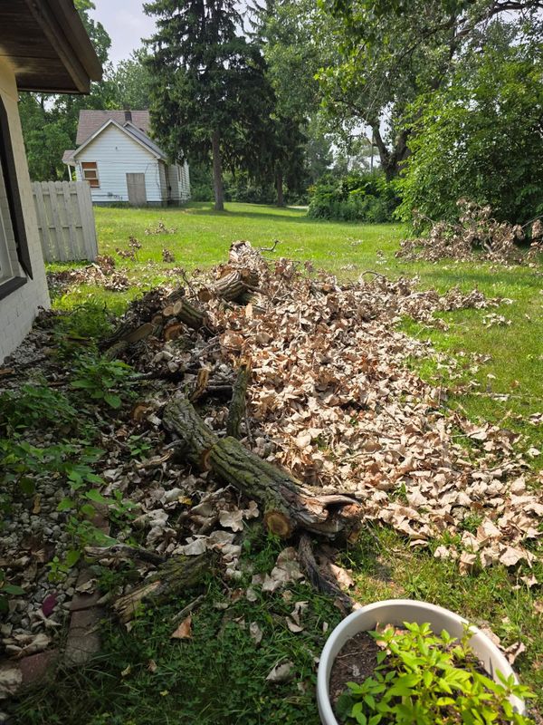 Residential Junk Removal