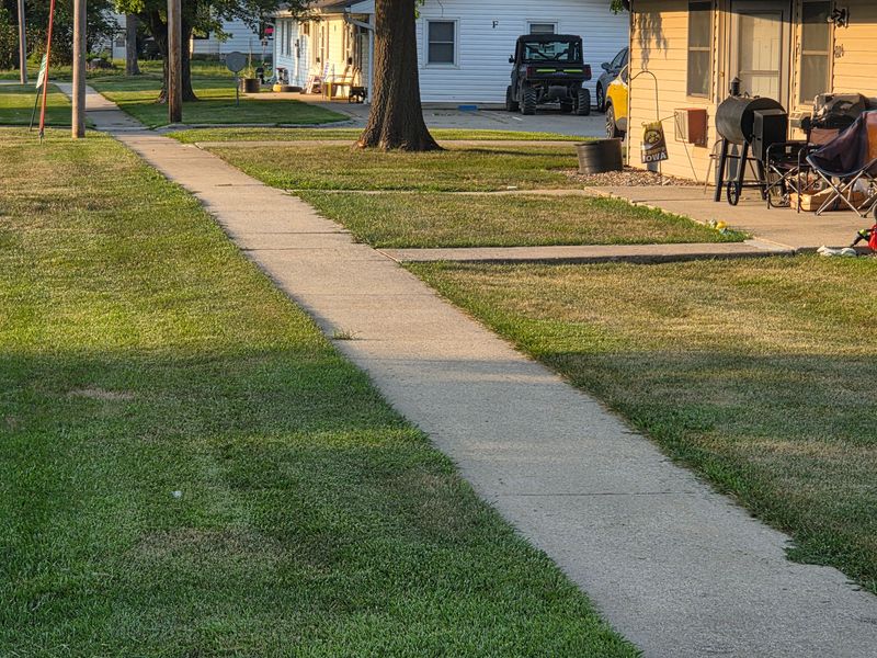 Lawn Care & Maintenance