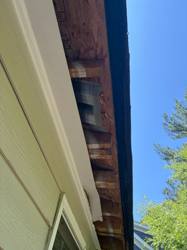 Wood Repair