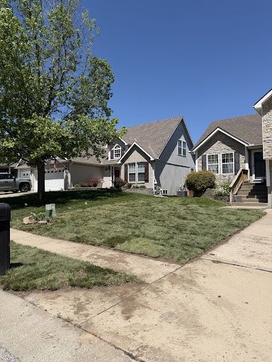 Sod Installation