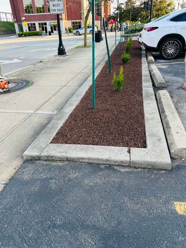 Mulch Installation