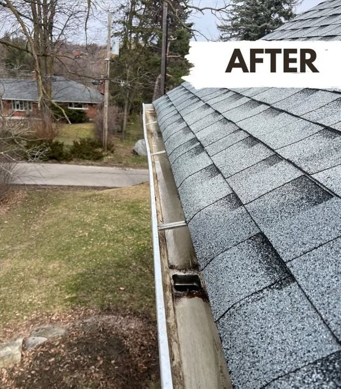 Gutter Cleaning