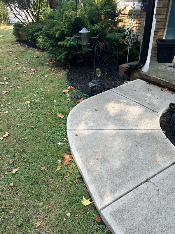 Tree & Shrub Care