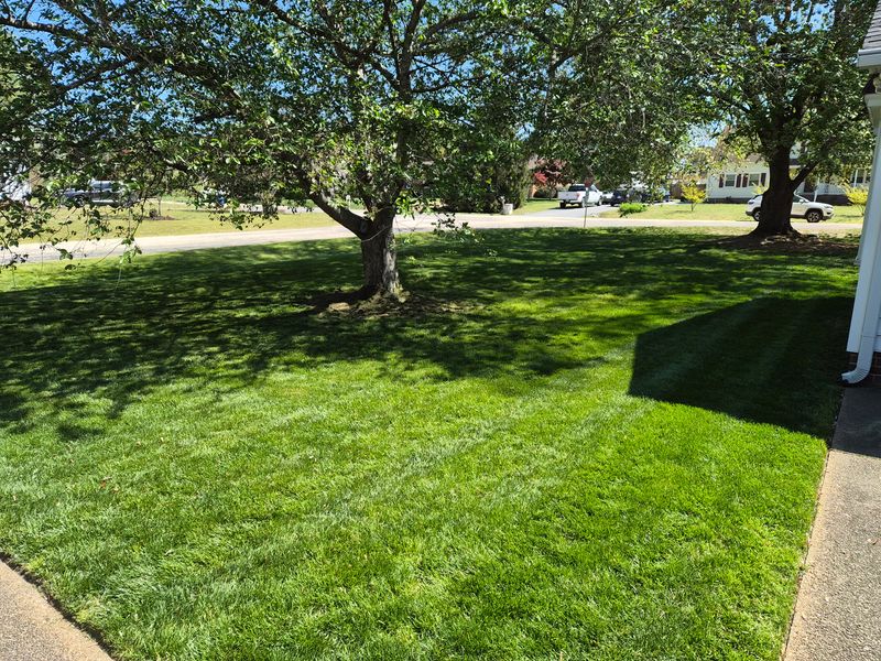 Landscaping 