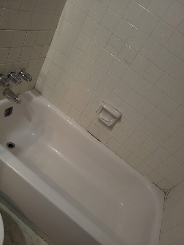 Deep Cleaning