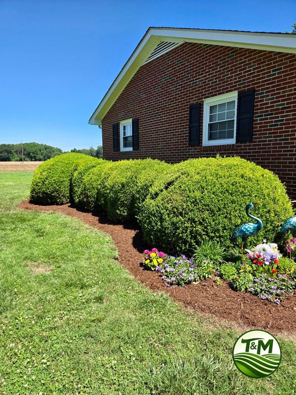 Lawn Care & Maintenance