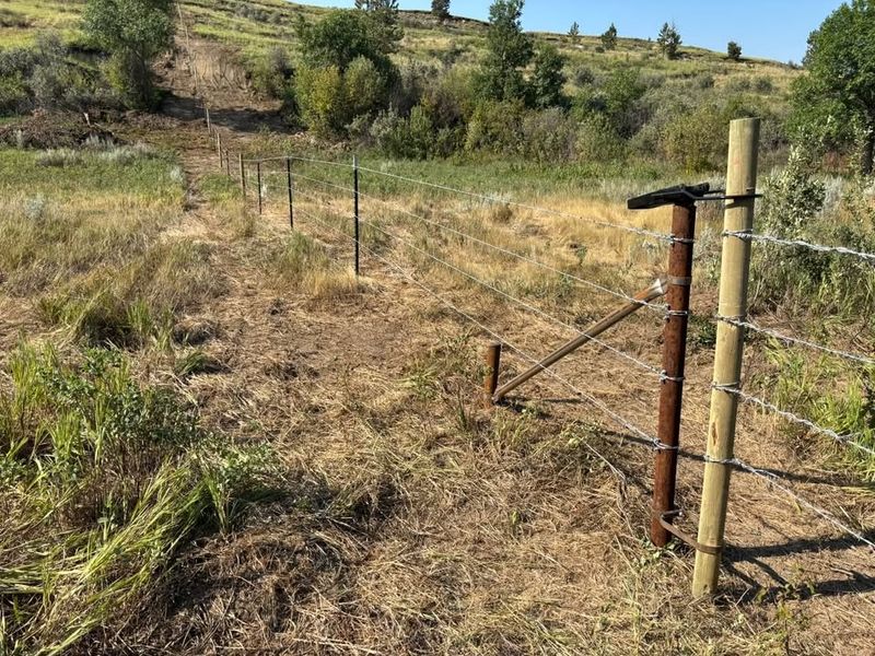 Fencing Installation