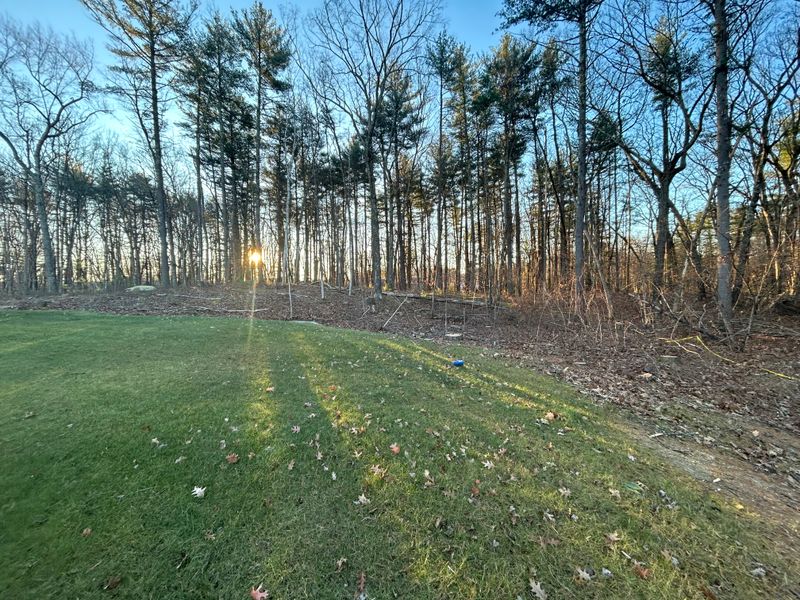 Yard Expansions