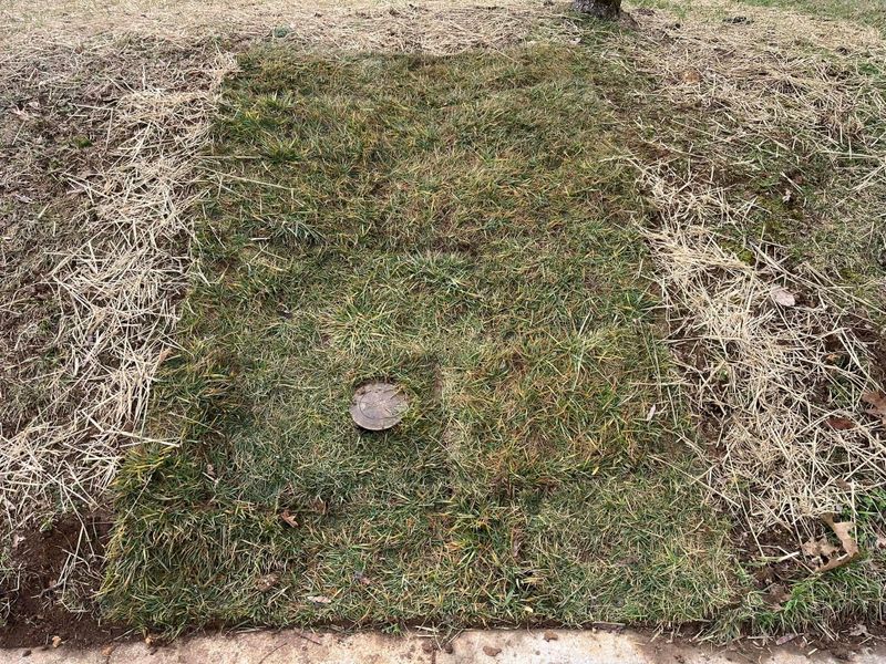 Lawn Care