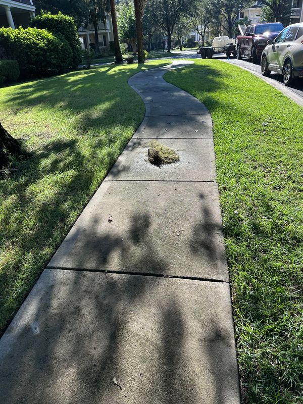 Driveway pressure cleaning