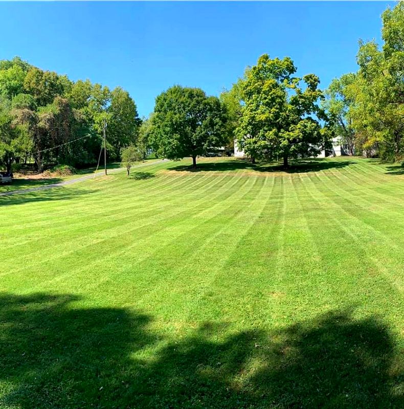 Lawn Maintenance