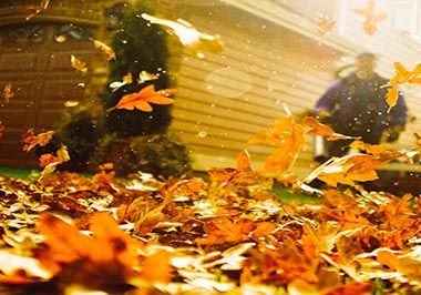 Fall Clean Up