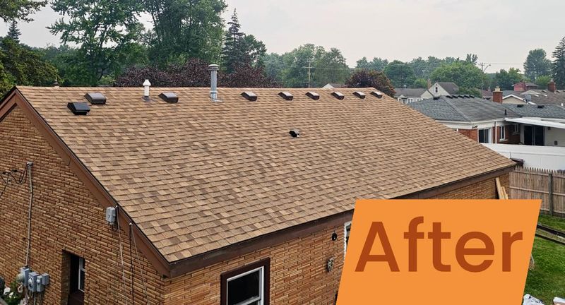 Our Work