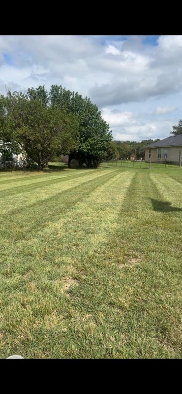 Lawn Maintenance