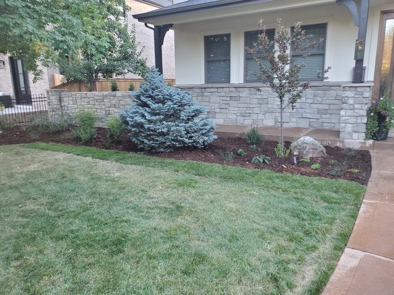Mulch Installation