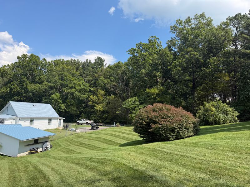 Lawn Maintenance