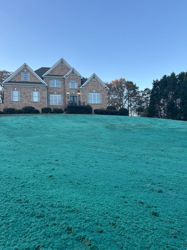 Hydroseeding gallery