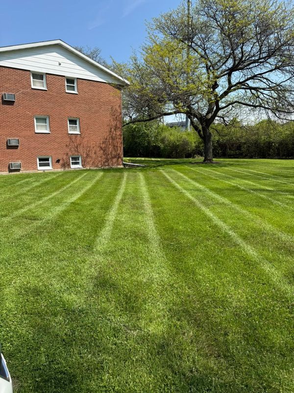 Lawn Maintenance