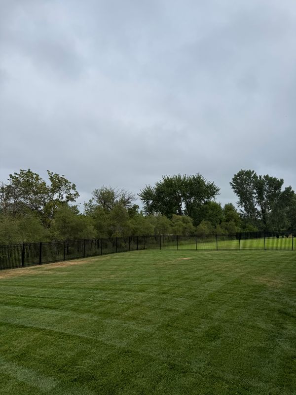 Lawn Maintenance