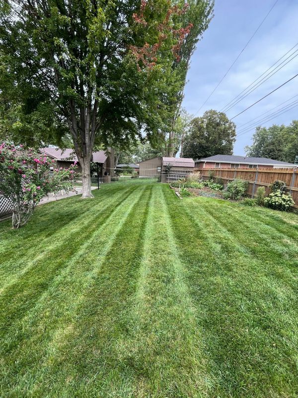 Lawn Maintenance