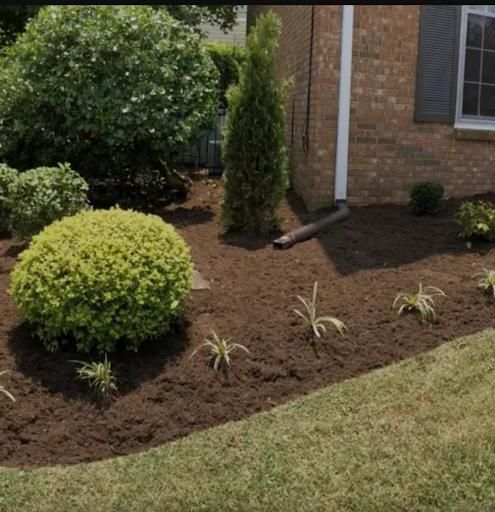Landscape Design and Installation