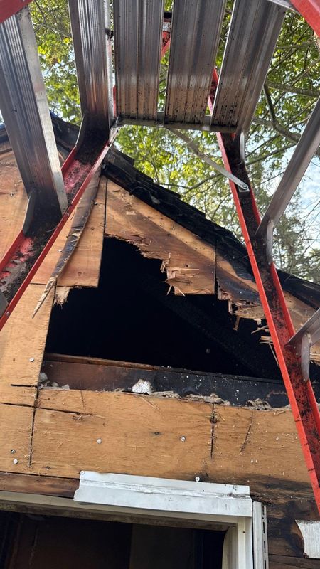 Fire Restoration