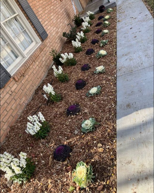 Mulching