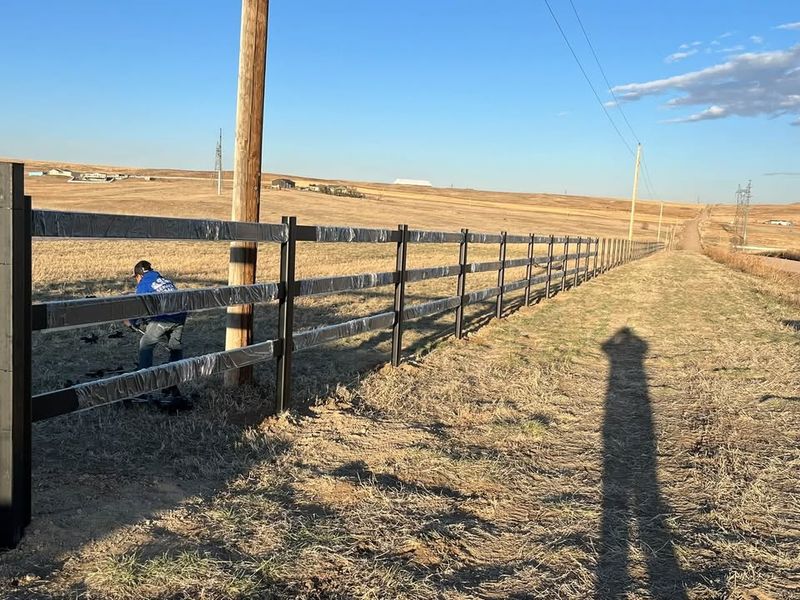 Metal Fencing