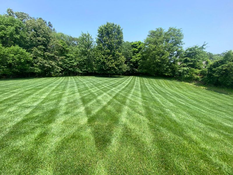 Lawn Mowing