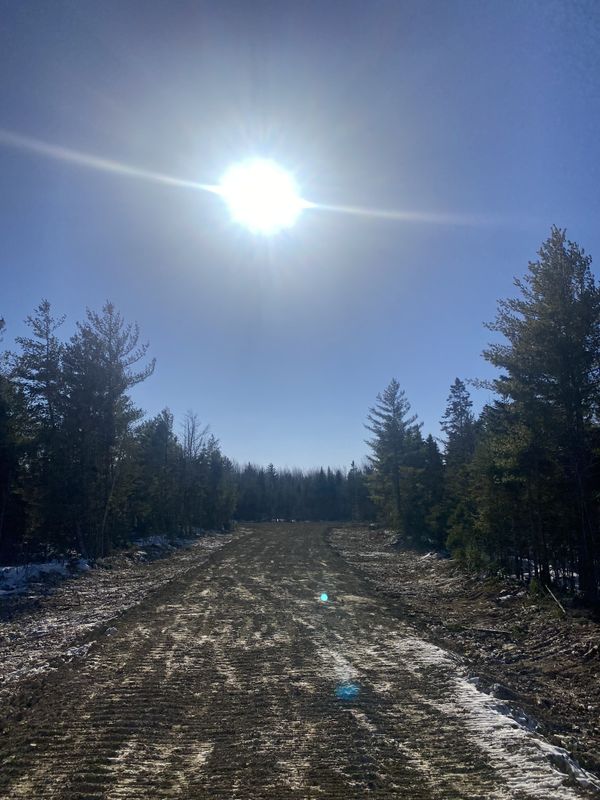 Land Clearing & Forestry Mulching
