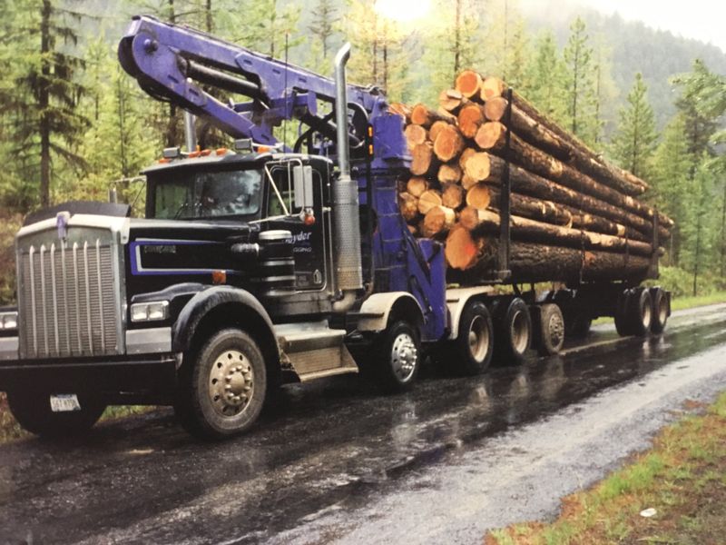 Logging