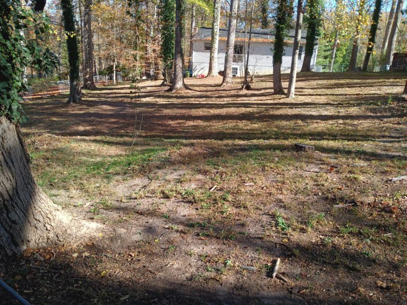 Leaf and Fall Cleanup