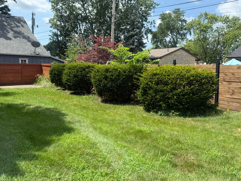 Lawn Maintenance