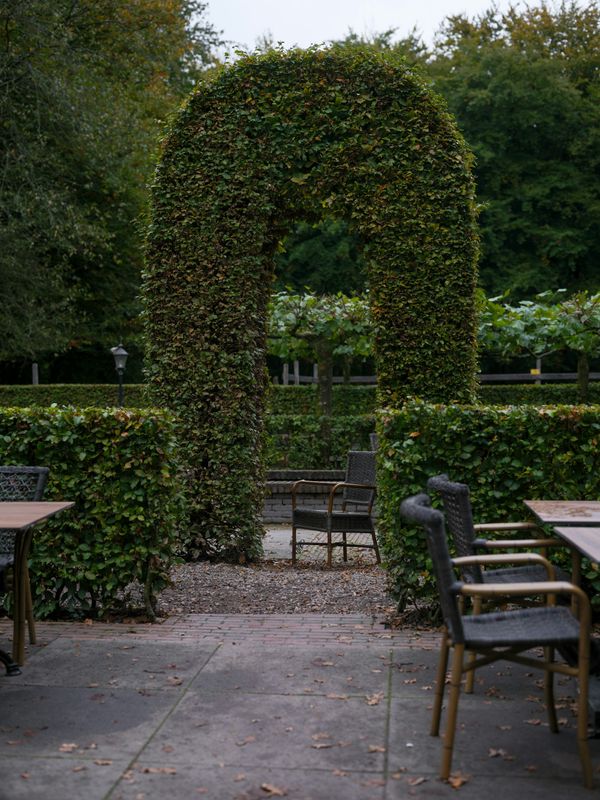 Hedge Trimming