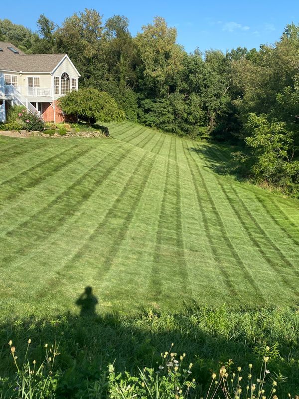 Landscape Maintenance