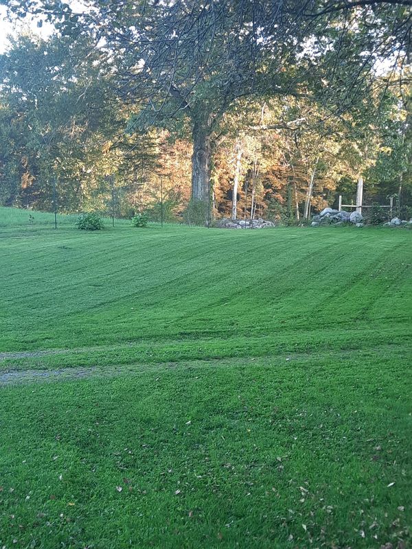 Landscape Design