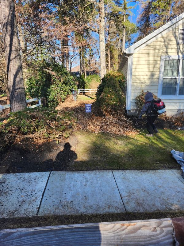 Fall and Spring Clean Up
