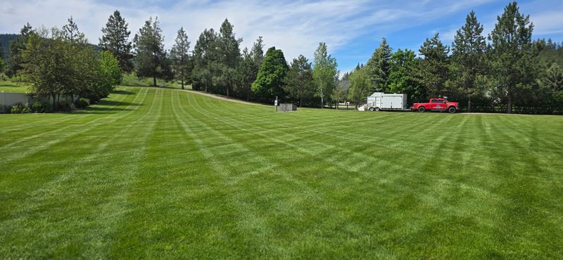 Lawn Maintenance