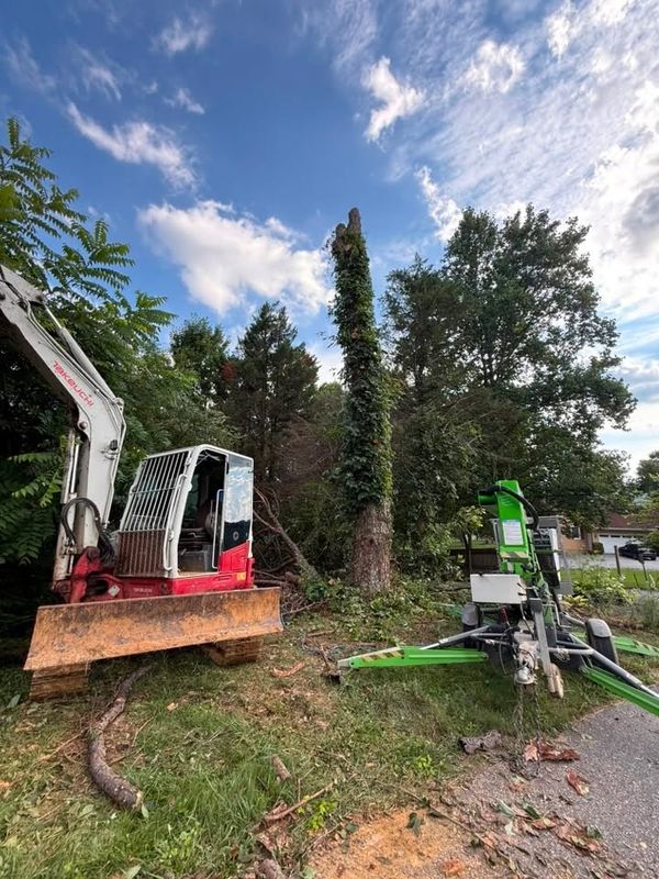Land Clearing