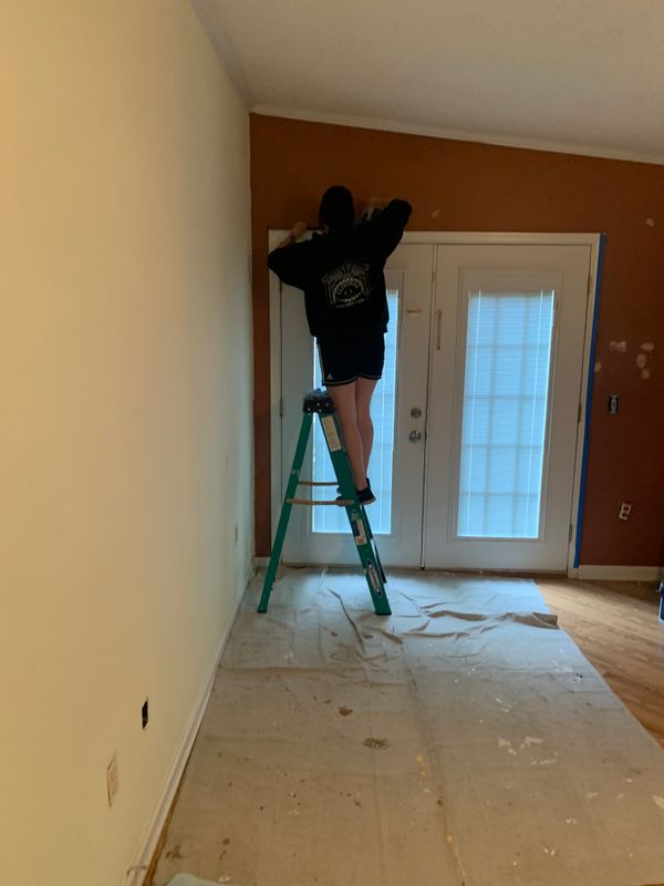 Window & Door Installation