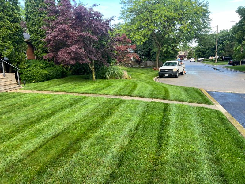 Lawn Care