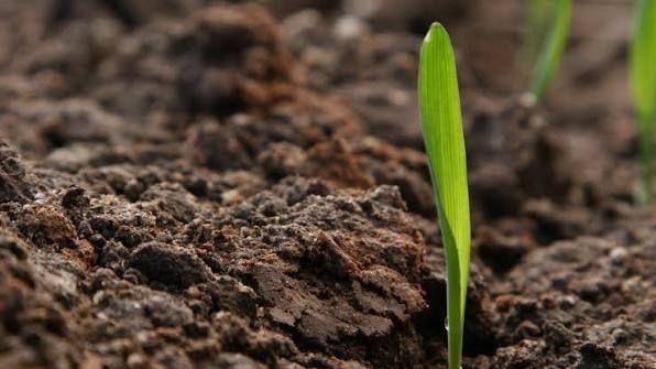 Soil Testing